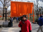 The Gates - Central Park