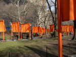 The Gates - Central Park