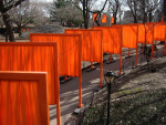 The Gates - Central Park