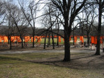 The Gates - Central Park
