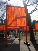 The Gates - Central Park