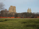 The Gates - Central Park