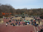 The Gates - Central Park