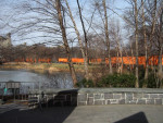 The Gates - Central Park