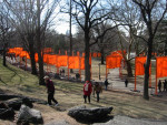 The Gates - Central Park