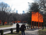 The Gates - Central Park