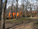 The Gates - Central Park