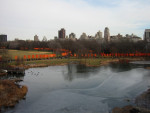 The Gates - Central Park