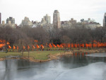 The Gates - Central Park