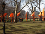 The Gates - Central Park