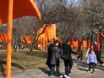 The Gates - Central Park