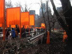 The Gates - Central Park